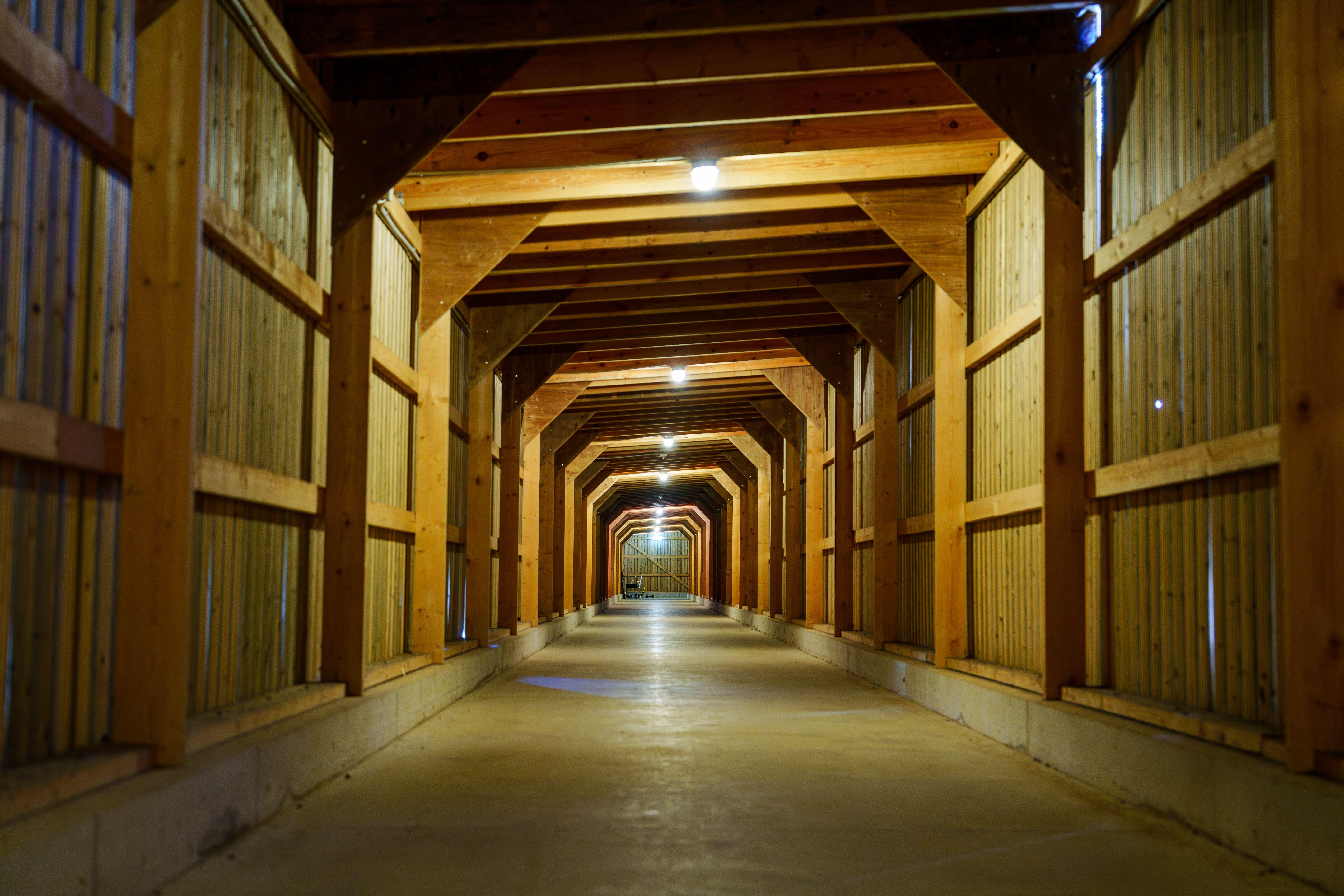 Warm wooden barn aisle with natural light