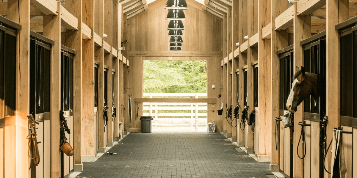 Calm horse at rest in a warm stable environment